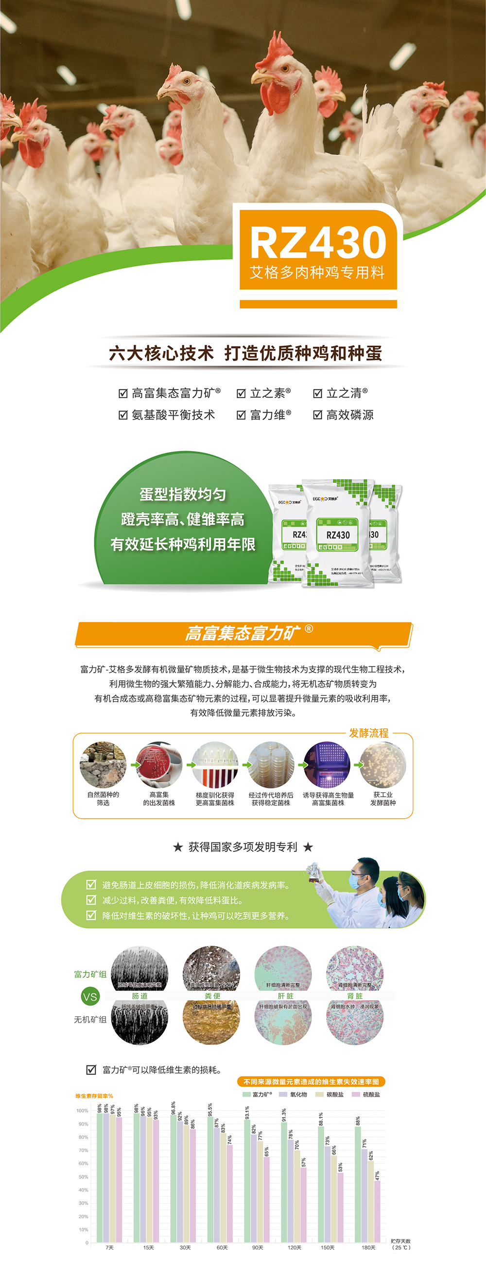RZ430_產(chǎn)品詳情頁(yè)——肉種雞_畫板 1
